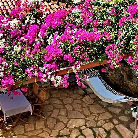 Hotel Tuerk Evi 4*