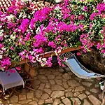 Hotel Tuerk Evi 4*