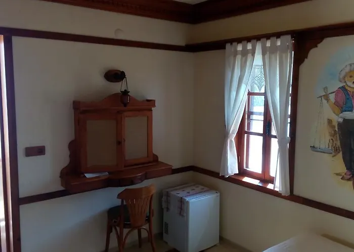 Tuerk Evi Датча