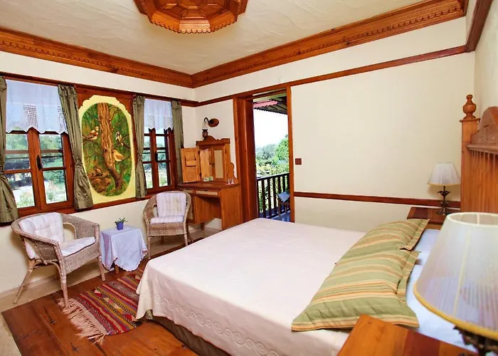 Tuerk Evi 4* דטקה