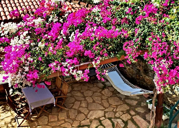 Отель Tuerk Evi 4*