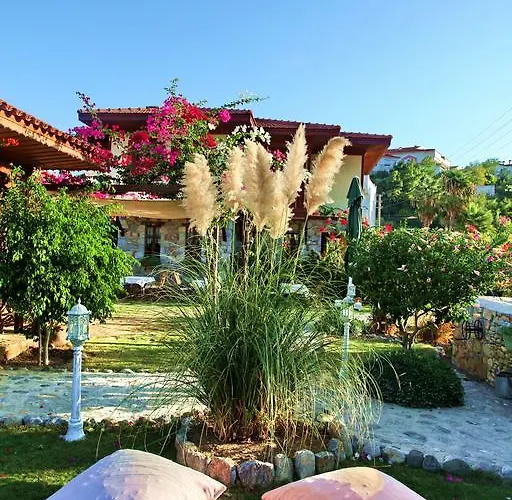 Tuerk Evi 4* דטקה