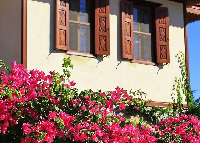 Tuerk Evi מלון 4*