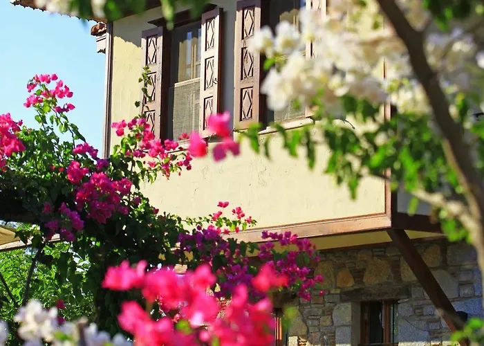 Отель Tuerk Evi 4*